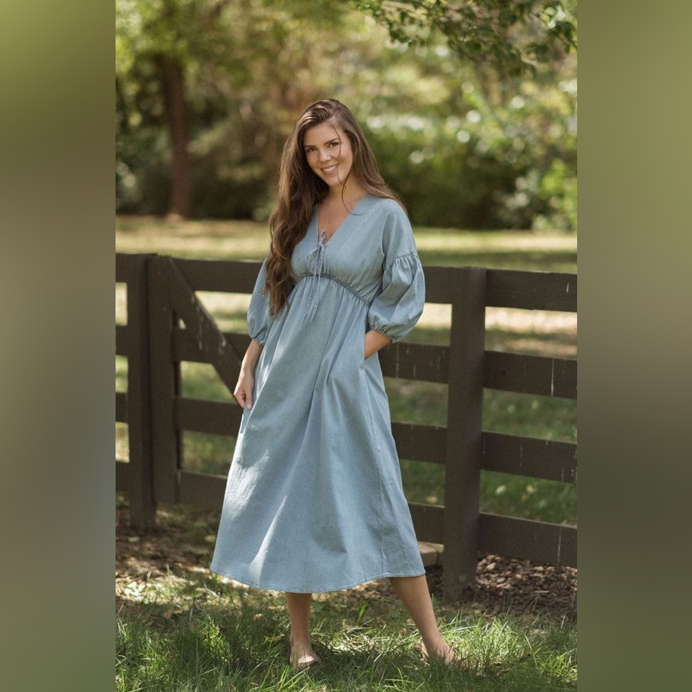 NWT Neuflora Port Augusta Chambray Dress